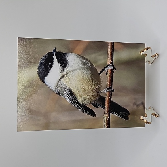 4x6 Chickadee Bird Oil Painting Photography Print‎ - Picture 6 of 7